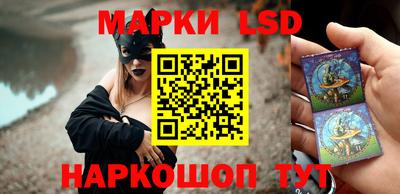 ПСИЛОЦИБИНОВЫЕ ГРИБЫ Новозыбков