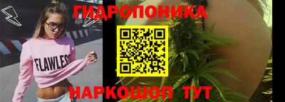 ПСИЛОЦИБИНОВЫЕ ГРИБЫ Новозыбков