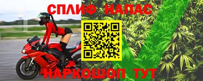гашик Новодвинск