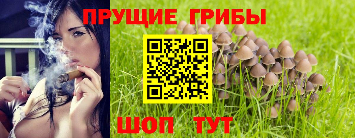 как найти закладки  Галлюциногенные грибы Psilocybine cubensis  Вход с VPN  Салехард 